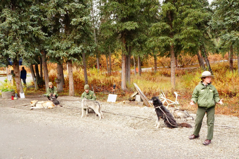 Illustration for article titled Alaska Adventure - Denali Edition